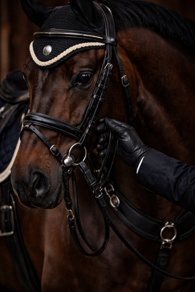 Vindt alles voor je Paard bij het Ruiterparadijs