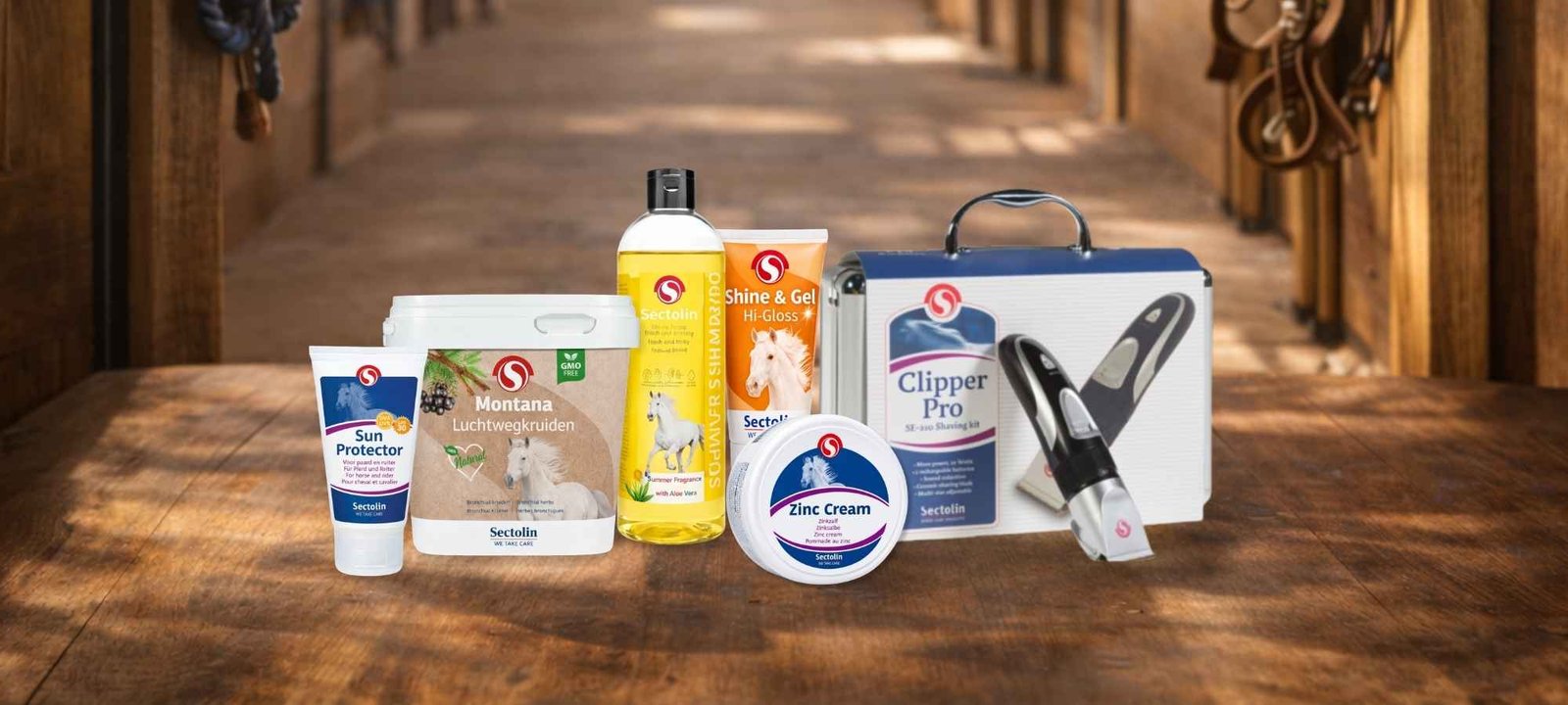 Paard en ruiter in landelijke omgeving